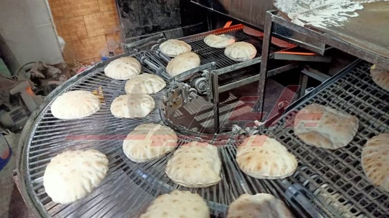 مخابز كفرالشيخ