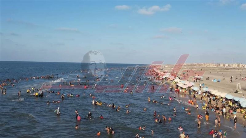 محافظ كفرالشيخ