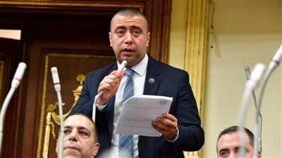 رئيس برلمانية حماة الوطن: استخدمنا الأدوات الرقابية بشأن أزمة انقطاع الكهرباء 