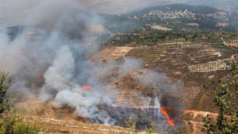 صورة أرشيفية