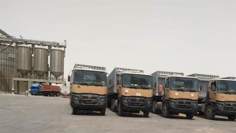 توريد القمح