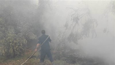 إخماد حريق كبير في مزرعة نخيل وحظيرة بالوادي الجديد