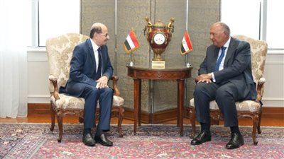 شكري يؤكد تأييد مصر لجهود التوصل لحل سياسي للأزمة اليمنية
