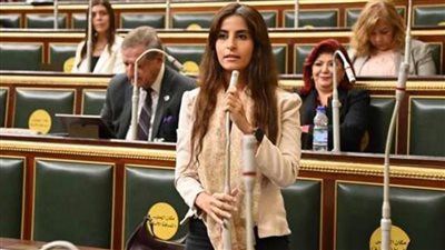 عضو بخارجية النواب: دعم الاستثمار المحلي والأجنبي وتمكين القطاع الخاص على رأس أولويات الحكومة الجديدة