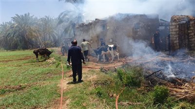 نشوب حريق في مزرعة وحظائر بشارع بورسعيد في الوادي الجديد