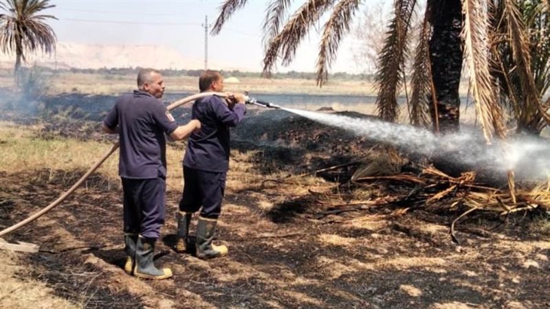 حريق بمزرعة في الوادي