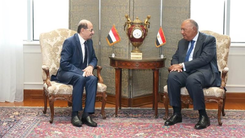 وزير الخارجية سامح