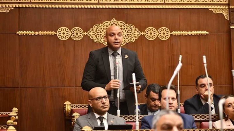 النائب محمود القط