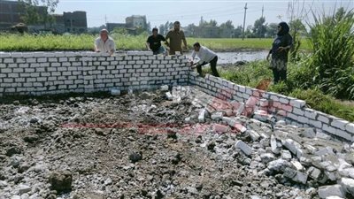 كفر الشيخ تزيل التعديات على الأراضي الزراعية ومخالفات البناء