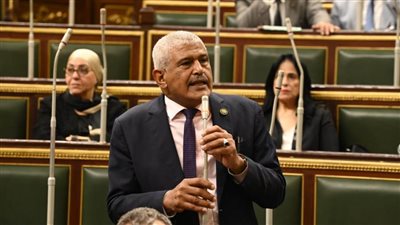 برلماني: ثورة 30 يونيو أنقذت مصر من مصير مجهول وستظل علامة مضيئة في تاريخ المصريين