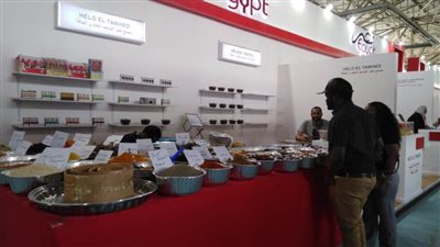 مصر تشارك في معرض السلام الدولي في تنزانيا بجناح يضم 25 شركة