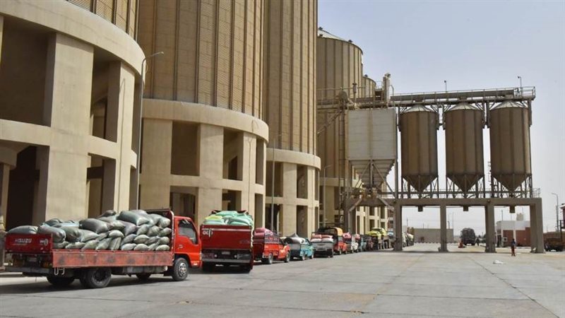 توريد القمح بأسيوط