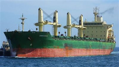 وصول 32 ألف طن فحم بترولي لميناء سفاجا من الكويت.. صور