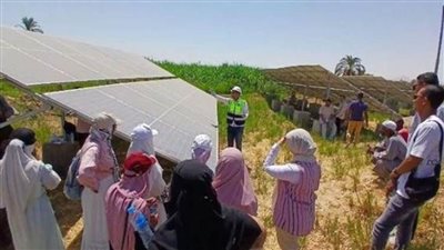 العمل تتابع برامج تدريبية نظرية وعملية في مجال الطاقة الشمسية لشباب الأقصر