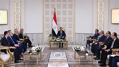 رئيس الوزراء يلتقي الرئيس التنفيذي لشركة 