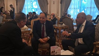 وزير المالية: تعزيز التعاون المشترك لدعم فرص التمويل الأخضر والمستدام في مصر