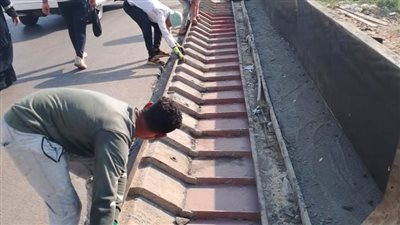 بالصور.. محافظ الغربية: تركيب حواجز 