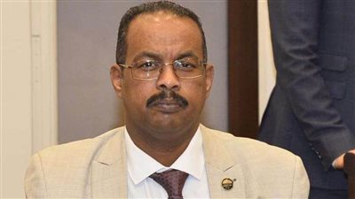 علي نور: 30 يونيو جاءت بقيادة وطنية عظيمة حققت طموحات الوطن