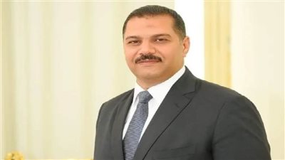 تعرف على السيرة الذاتية للدكتور محمود عيسي نائب محافظ الغربية