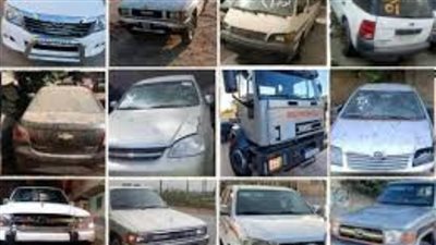 موعد انعقاد مزاد جمارك القاهرة وسفاجا وأسوان والأقصر وبورسعيد المؤجل من الشهر الماضي