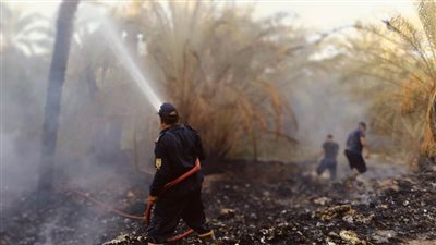 نشوب حريق بمزرعة نخيل وإخماد آخر في الوادي الجديد 