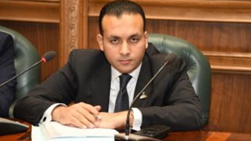 النائب عمرو فهمي