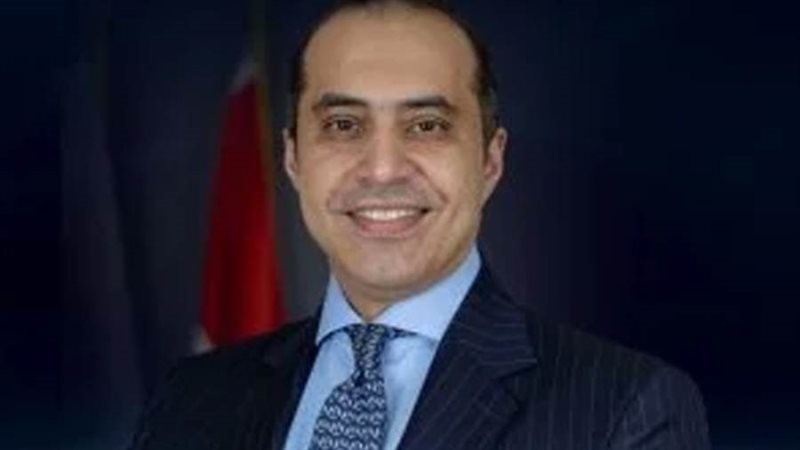 المستشار محمود فوزي