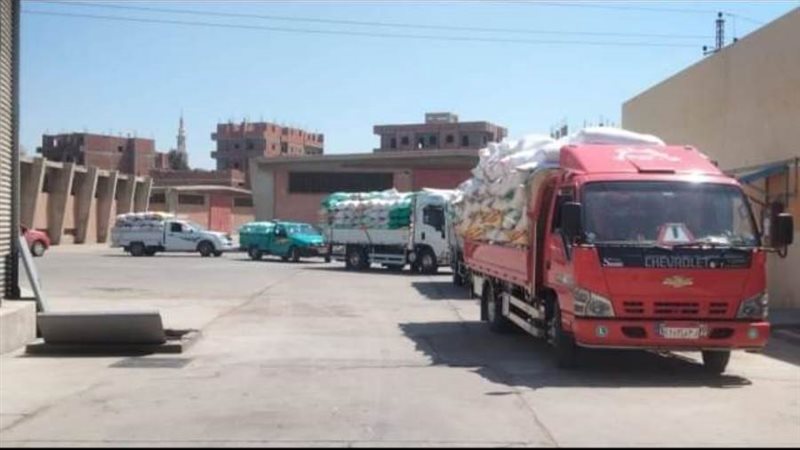 توريد القمح