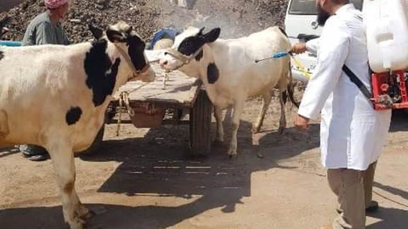 جانب من القافلة البيطرية