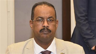 علي نور: انعقاد مؤتمر القوى السودانية في القاهرة يؤكد الإصرار على وضع نهاية للكارثة