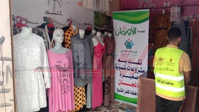 2721 مشروعًَا تنمويًا لأصحاب الصناعات اليدوية والحرفية للأكثر احتياجًا بكفر الشيخ