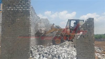 إزالة التعديات على الأراضي الزراعية ومخالفات البناء بدسوق