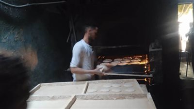 حملات تفتيشية على المخابز البلدية ورفع أطنان القمامة والمخلفات ببني سويف