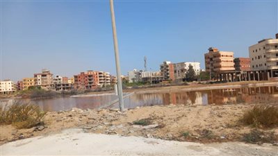 محافظ الدقهلية يجري جولة مفاجئة بجمصة ويمنح رئيس المدينة مهلة أسبوعين لرفع الإشغالات