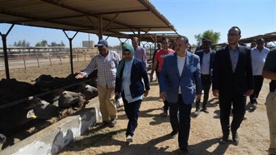 محافظ أسيوط يتفقد أعمال تطوير محطتي تسمين عرب العوامر وفريزيان الحمام