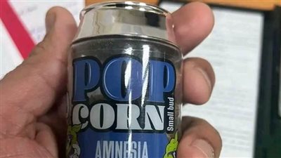 جمارك مطار الغردقة تحبط محاولة تهريب كمية من مخدر الماريجوانا  |صور