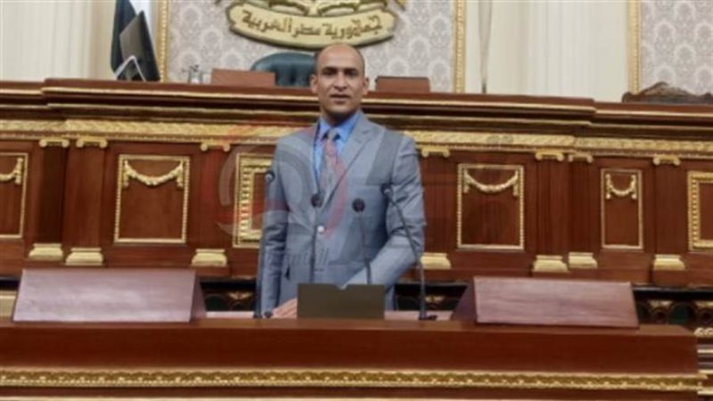 النائب حسام أبوزيد