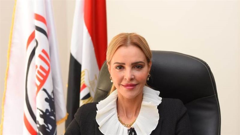 المهندسة مروة حسين