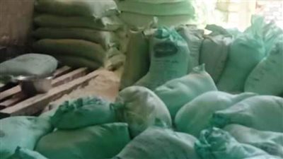 قبل تهريبه وبيعه بالسوق السوداء.. ضبط 4 أطنان و800 كيلو دقيق مدعم بالشرقية