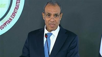 عبد العاطي: لا بد من وقف العدوان الإسرائيلي على قطاع غزة لمنع التصعيد والتخريب في الإقليم