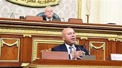 كامل الوزير أمام النواب: الاقتصاد الأخضر وتوفير فرص عمل والتعاون مع القطاع الخاص أولويات وزارة الصناعة