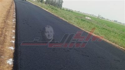 بتكلفة 7 ملايين جنيه.. رصف طريق 