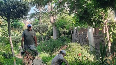  بالصور.. محافظ الغربية: استمرار أعمال التجميل وزارعة أشجار الزينة بالمراكز والمدن