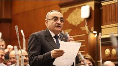 نائب رئيس حماة الوطن: 