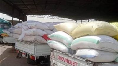 توريد 615371 طنًا من القمح لمراكز التجميع بالشرقية