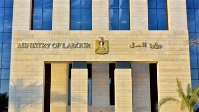 وزارة العمل: عمليات حصر وتسجيل جديدة للعمالة غير المنتظمة بمشروعات أسوان
