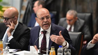 وزير القوى العاملة: 