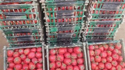 تعرف على أسعار خضروات سوق العبور