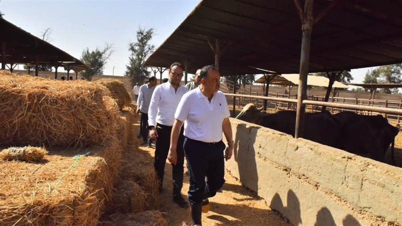 جانب من جولة المحافظ