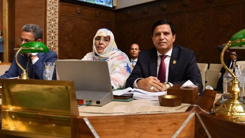 اللواء طارق نصير